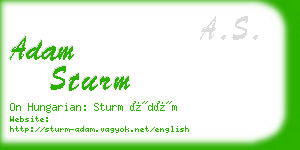 adam sturm business card